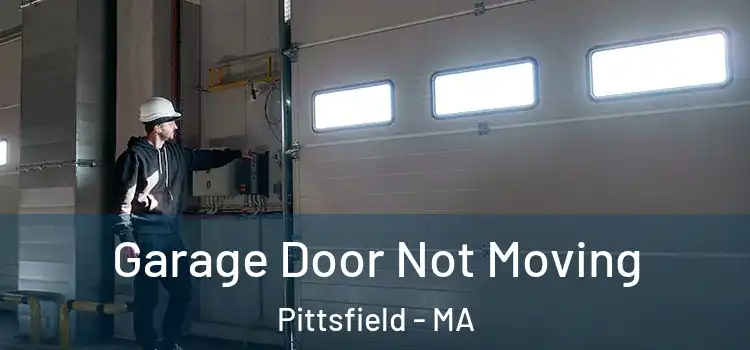  Garage Door Not Moving Pittsfield - MA