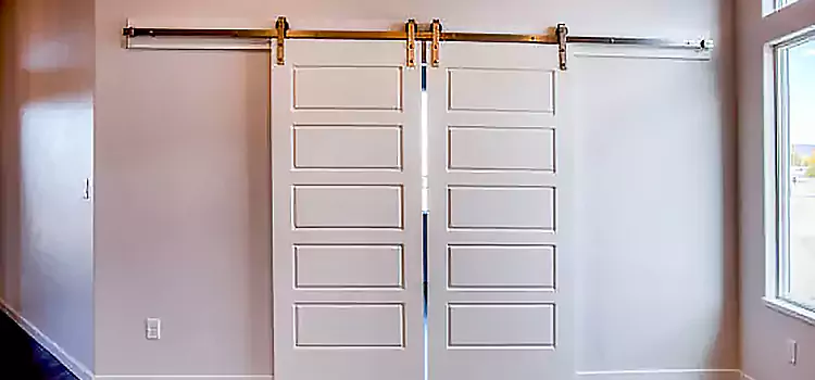 Glass Barn Door with Installation Hardware Kit Pittsfield