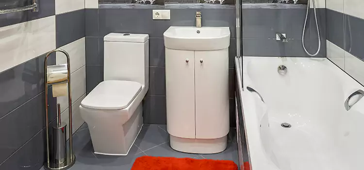 Hansgrohe Shaving Mirror Pittsfield