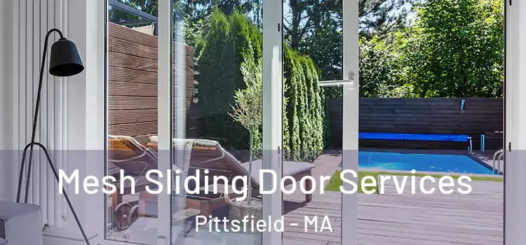 Mesh Sliding Door Services Pittsfield - MA