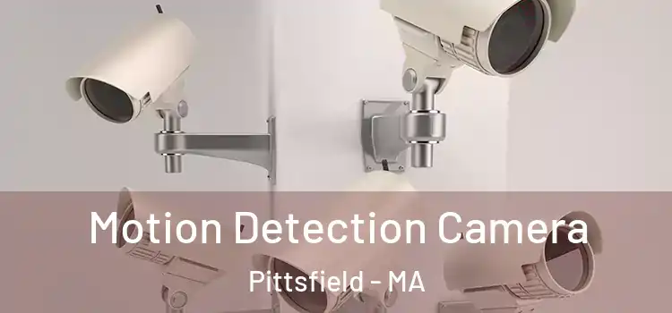  Motion Detection Camera Pittsfield - MA