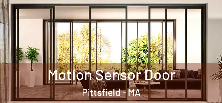  Motion Sensor Door Pittsfield - MA